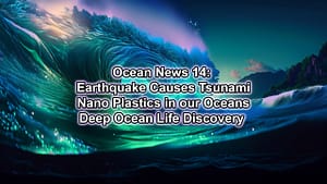 Ocean News 14